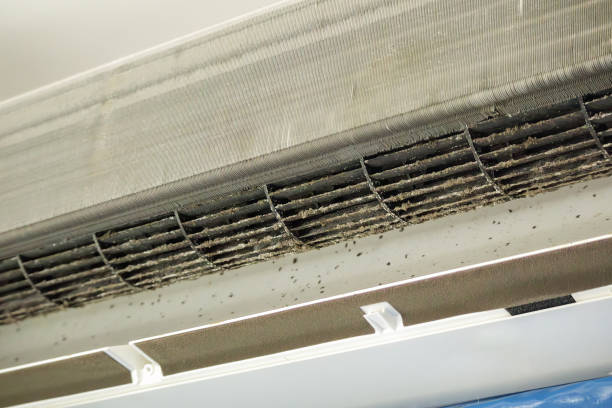 Best Air Duct Cleaning Near Me  in Phillipsburg, GA